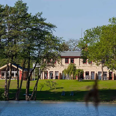 Stockente - Entspannung Am Loppiner Jabel